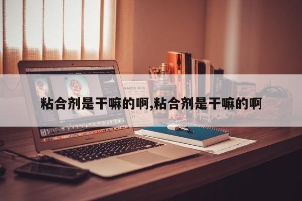 粘合剂是干嘛的啊,粘合剂是干嘛的啊